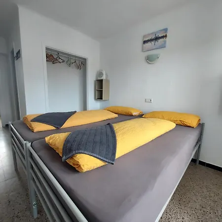 Orsi